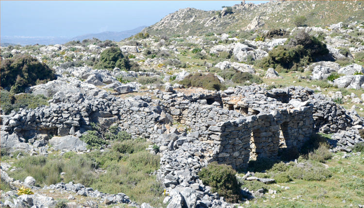 Η μάντρα του Σηφογιάννη στη θέση «Καλόγερος», όπως είναι σήμερα.