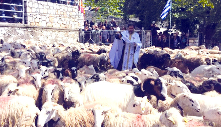 Πήραν και τα πρόβατα την ευλογία του Αγίου