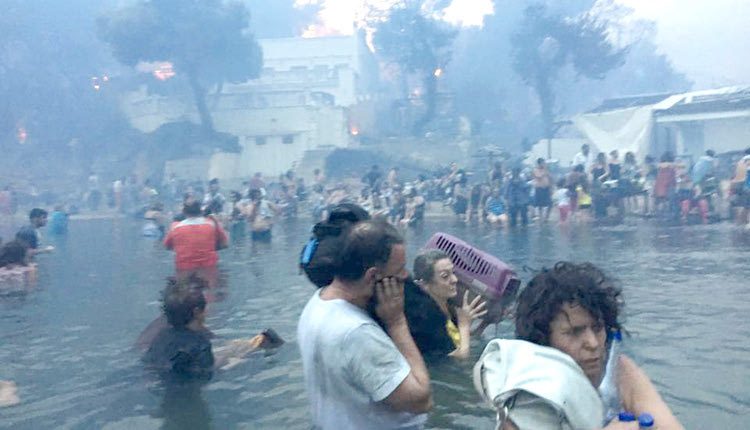 Η ΤΡΑΓΩΔΙΑ ΣΤΗΝ ΑΝΑΤΟΛΙΚΗ ΑΤΤΙΚΗ