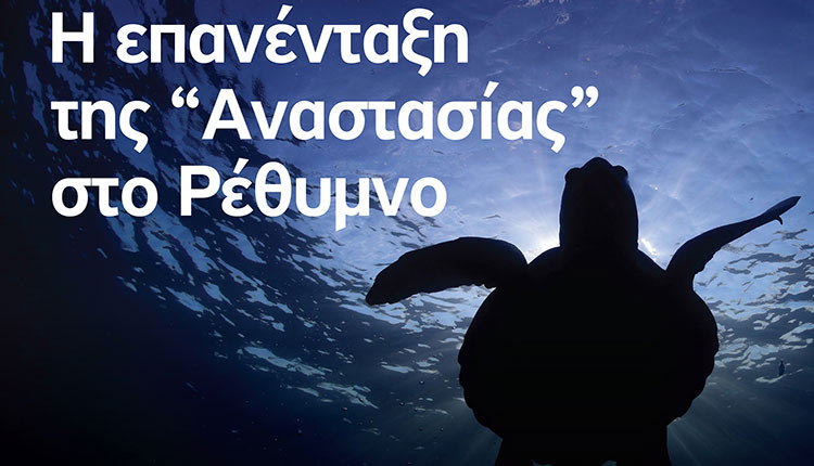 “ΑΝΑΣΤΑΣΙΑ” – Έγινε καλά και απελευθερώνεται