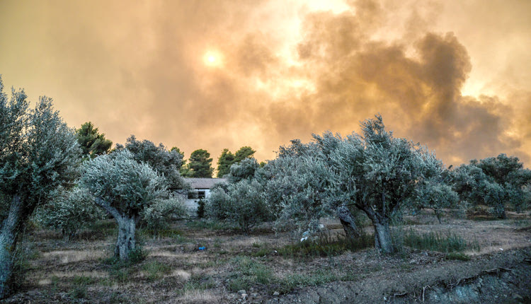 Κόλαση φωτιάς στην κεντρική Εύβοια με τις πυροσβεστικές δυνάμεις να προχωρούν στην εκκένωση δύο οικισμών