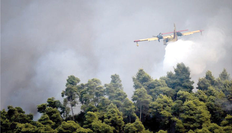 Μάχη με τις φλόγες σε δύο μέτωπα δίνουν οι πυροσβεστικές δυνάμεις