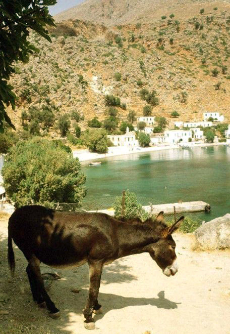 ΦΩΤΟ ΗΜΕΡΑΣ: Στο Λουτρό τη δεκαετία του '70