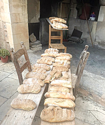 προζυμένια ψωμιά στην εκδήλωση που διοργάνωσαν στην Ιερά Μονή Τοπλού τα μέλη του Φεστιβάλ Κρητικής Κουζίνας και ο Πολιτιστικός Σύλλογος Αγίου Γεωργίου Σητείας «Οι Τουρτούλοι». 