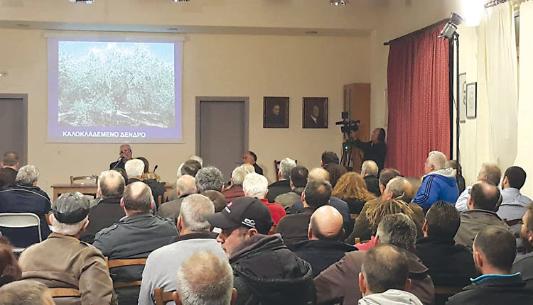 Ο 3ο κύκλος σεμιναρίων για την καλλιέργεια της ελιάς στο Πνευματικό Κέντρο Καλεσσών