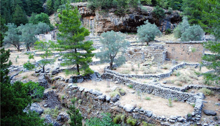 Στο φαράγγι της Σαμαριάς