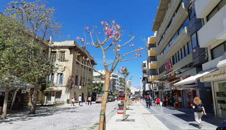 Ξεκίνησε η φύτευση των δέντρων στη Δικαιοσύνης