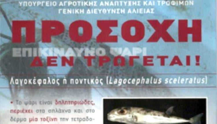 ΛΑΓΟΚΕΦΑΛΟΣ