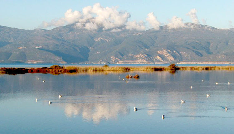 περιοχές NATURA