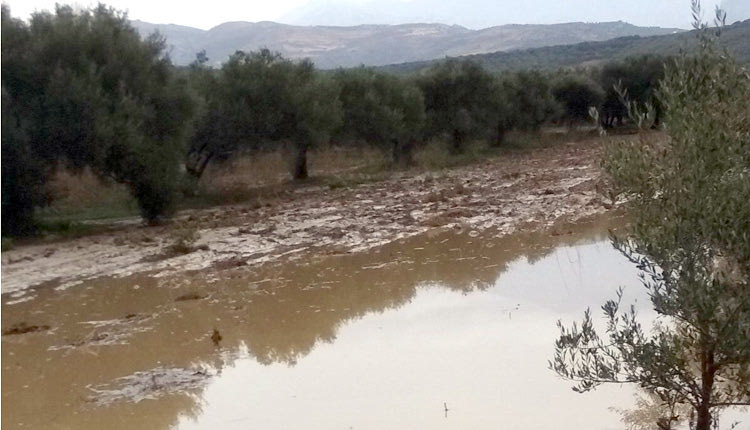 καταστροφές που προκλήθηκαν και στην περιοχή του δήμου Μινώα Πεδιάδος από τις βροχές