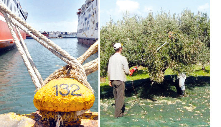 Οι επίδοξοι αλλοδαποί  εργάτες για το λιομάζωμα  στο λιμάνι