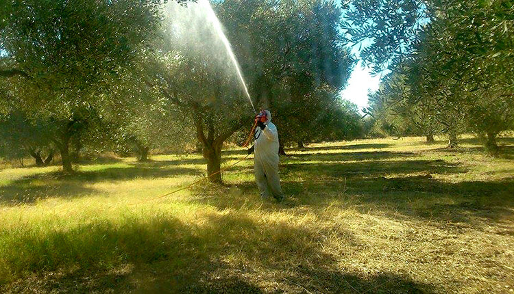 πρόγραμμα δακοκτονίας