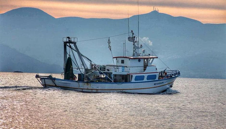 Απαιτείται δήλωση αλιευτικής παραγωγής