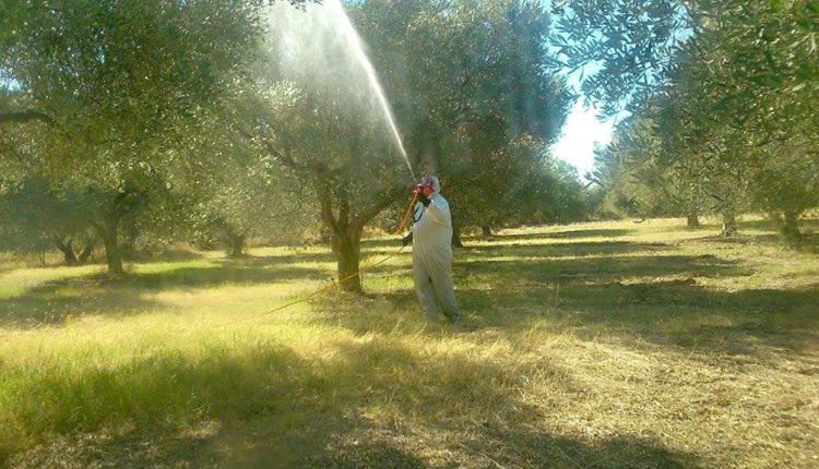 προγράμματα δακοκτονίας