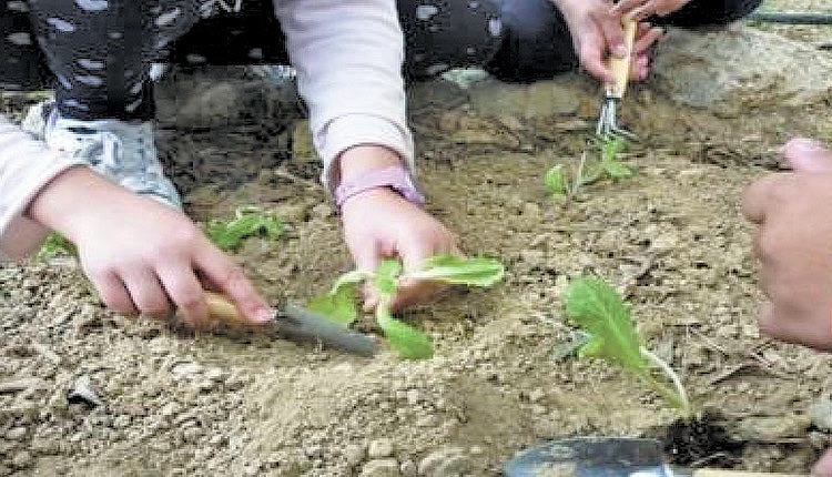 Παγκόσμια Ημέρα Περιβάλλοντος