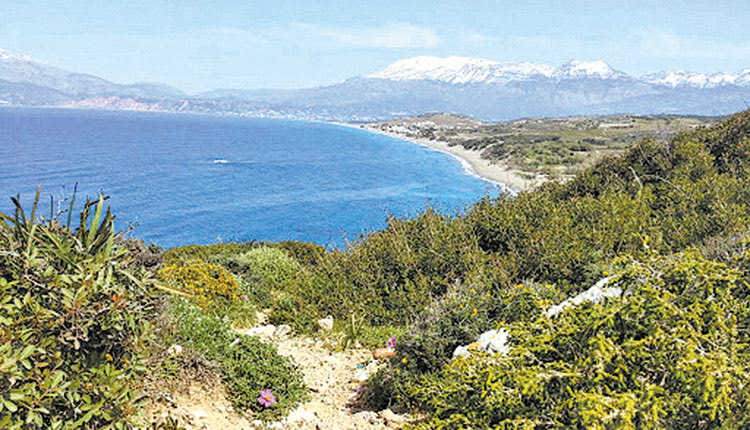 Περιβαλλοντικές δράσεις σε Ζαρό και Αφραθιά από την Πολιτική Προστασία της Περιφέρειας.