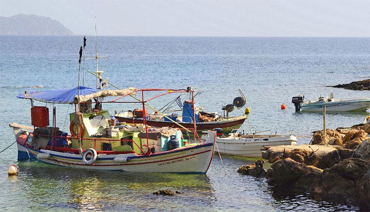 Πρόσθετα μέτρα στήριξης των αλιέων που επλήγησαν