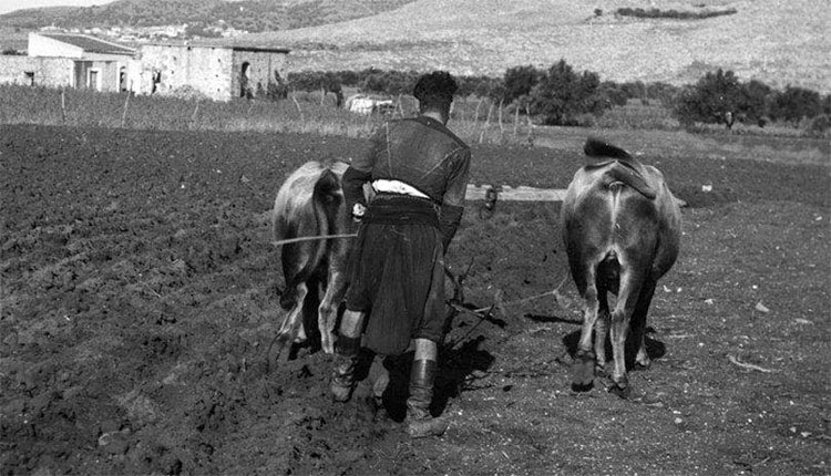 ΦΩΤΟΗΜΕΡΑΣ: Αγρότης οργώνει το χωράφι του σε χωριό της ενδοχώρας. Κρήτη 1941.