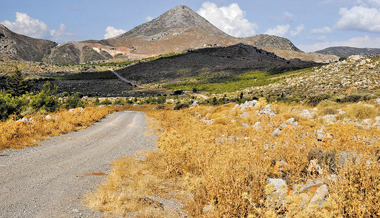 το δάσος της Κέρης