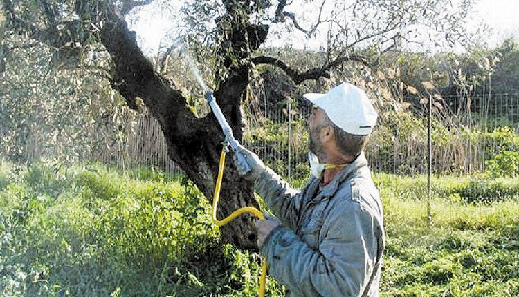 ΔΑΚΟΚΤΟΝΙΑ: δολωματικοί ψεκασμοί