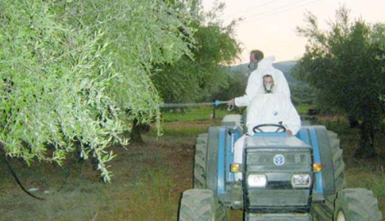 δολωματικός ψεκασμός καταπολέμησης του δάκου