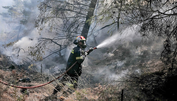 Θ’ ΑΠΟΖΗΜΙΩΘΟΥΝ ΟΙ ΑΓΡΟΤΕΣ Μέτρα στήριξης των πυρόπληκτων για τις φωτιές του Ιουλίου