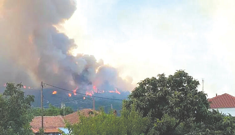 Τεράστια η οικολογική καταστροφή στο δάσος της Δαδιάς