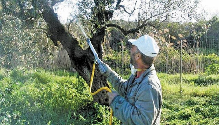 δακοκτονία