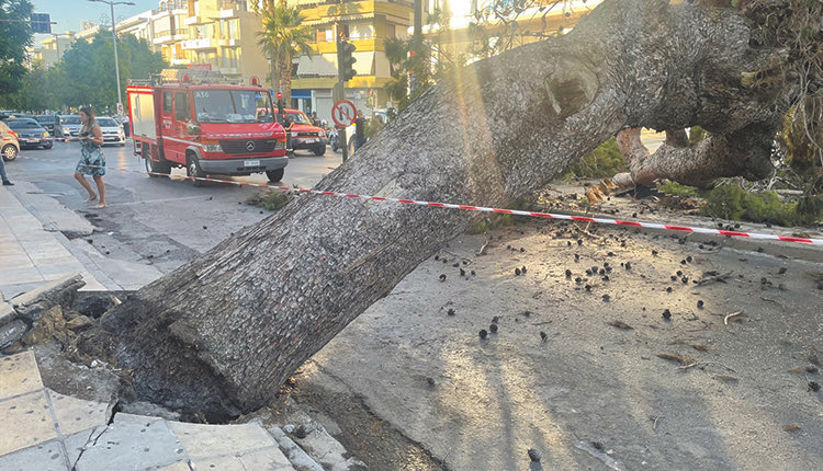 Μια πόλη… επικίνδυνη για να… ζεις;