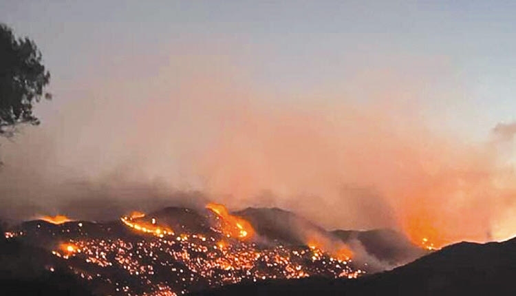 Φωτιά στον Δήμο Αγ. Βασιλείου