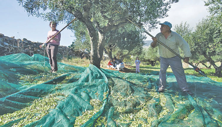 Σοβαρές ελλείψεις σε εργάτες γης