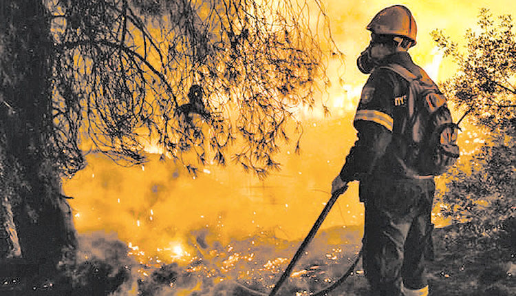 Στη φετινή αντιπυρική περίοδο σημειώθηκαν 150 πυρκαγιές στον νομό Ηρακλείου