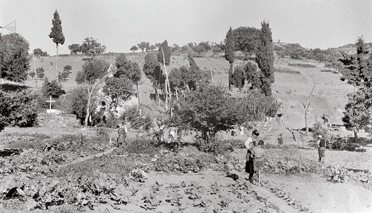 ΦΩΤΟΗΜΕΡΑΣ: Κρήτη, Καστέλι Πεδιάδος. Αγρότες καλλιεργούν τα χωράφια τους (1942, φωτογραφία Karl Ottahal).