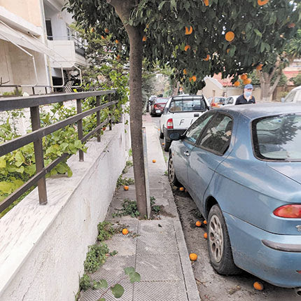  «Οι νεραντζιές ανθίσανε και φέτος και έχουν και βεντέμα» σχολίαζε χιουμοριστικά στη στήλη συμπολίτης μας, ο οποίος εξέφραζε την ειλικρινή απορία σε σχέση με τα κριτήρια που ο δήμος προχωρά σε φυτεύσεις, που σε πολλές περιπτώσεις είναι το λιγότερο αψυχολόγητες.