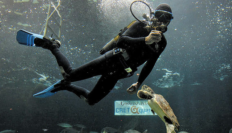 Θεοφάνια στο Ενυδρείο Κρήτης-CRETAquarium!