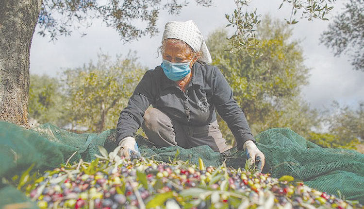 Πάνω από μισό δισ. προβλέπεται να πέσει από το λάδι στην τοπική αγορά