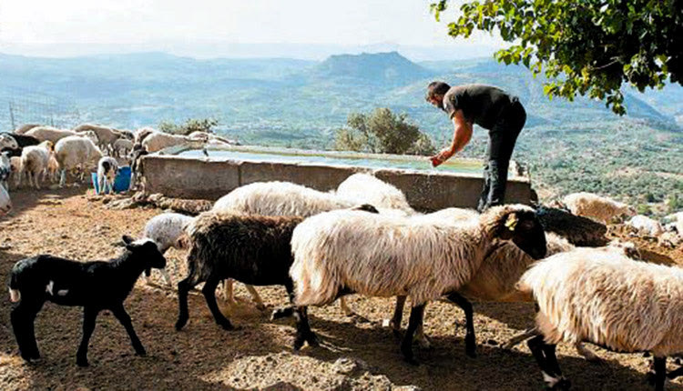 κτηνοτρόφοι