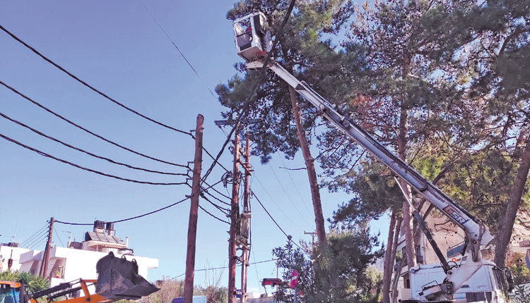 Ξεκίνησαν οι κοπές των δέντρων - Αντιδρούν οι κάτοικοι