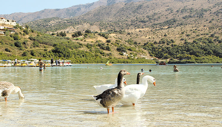 Λίμνη Κουρνά