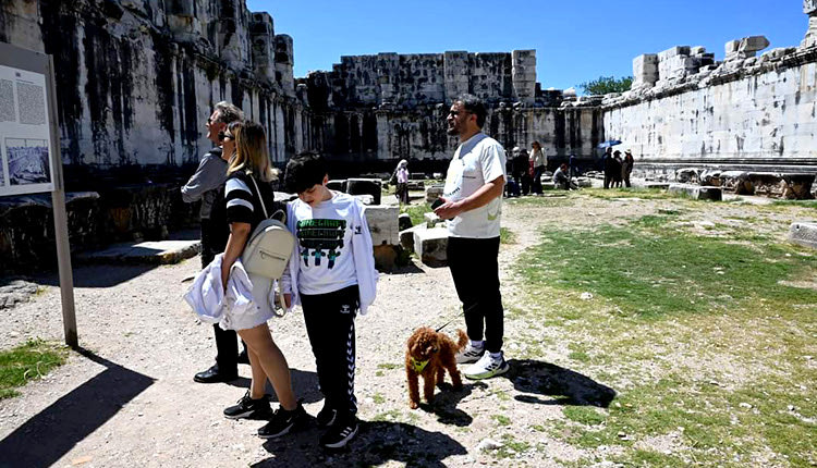 Ζώα συντροφιάς σε αρχαιολογικούς χώρους