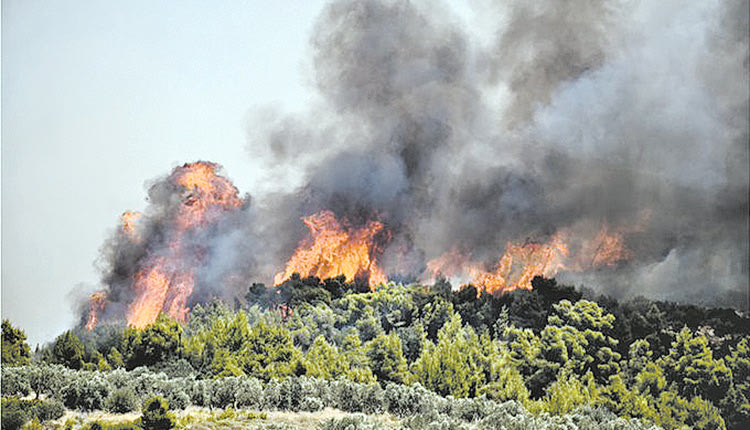 Αττική: Απροετοίμαστοι δέκα δήμοι στην πύρινη απειλή