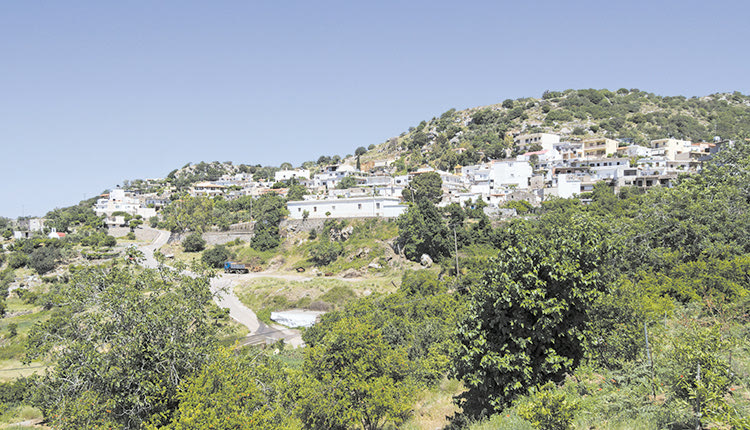 Στη μικρή κοινωνία της Αξού Μυλοποτάμου ήταν γνωστές, λίγο-πολύ, οι προστριβές των δύο καφετζήδων για τα τραπεζοκαθίσματα στη γραφική πλατεία του χωριού με τον τεράστιο πλάτανο. Την τελευταία διετία υπήρχαν αντιπαραθέσεις, ακόμα και δημόσια, ανάμεσα στους δύο άνδρες. Όλοι ήξεραν ότι οι σχέσεις τους δεν ήταν και οι καλύτερες. Κανείς ωστόσο δεν περίμενε αυτό που συνέβη τα ξημερώματα της Δευτέρας όταν κατά το κλείσιμο του ενός καφενείου, ο 50χρονος ιδιοκτήτης του δέχθηκε πυροβολισμούς στην περιοχή του θώρακα και έπεσε αιμόφυρτος στο έδαφος. Από τους πυροβολισμούς τραυματίστηκε ελαφρά, πιθανότατα ως παράπλευρη απώλεια, και ένας 57χρονος, ο οποίος εμφανίζεται ως εργαζόμενος στο καφενείο του βαριά τραυματία. Και οι δύο άνδρες διακομίστηκαν στο ΠΑΓΝΗ, με τον 50χρονο να υποβάλλεται μέσα στη νύχτα σε χειρουργική επέμβαση, ενώ αμέσως μετά εισήχθη στη ΜΕΘ. Σύμφωνα με τον διοικητή του νοσοκομείου κ. Γιώργο Χαλκιαδάκη η κατάσταση του είναι σοβαρή, ενώ φέρεται να έχε δεχθεί δύο σφαίρες. Μέχρι και χθες όλες οι πληροφορίες και μαρτυρίες έδειχναν ως δράστη του αιματηρού περιστατικού τον έτερο καφετζή της πλατείας, ο οποίος είχε εξαφανιστεί. Το ένοπλο επεισόδιο σήκωσε στο πόδι όλη την Αξό, ενώ η είδηση έγινε αστραπιαία γνωστή σε ολόκληρο τον Μυλοπόταμο. Κανείς δεν μπορεί να πιστέψει την αιματηρή κατάληξη αυτής της διένεξης και αυτό που ερευνάται είναι αν συνέβη ή ειπώθηκε κάτι που έθεσε την κατάσταση εκτός ελέγχου και πυροδότησε όλη αυτή την ένταση. Στην Αξό έσπευσαν άμεσα ισχυρές αστυνομικές δυνάμεις, με τις πληροφορίες να αναφέρουν ότι στο πλαίσιο της αυτοψίας στον τόπο του συμβάντος εκτός από τις διάσπαρτες κηλίδες αίματος, αστυνομικοί βρήκαν πέντε κενά φυσίγγια και τρεις βολίδες πυροβόλου όπλου. Συγγενείς και αστυνομία έσπευσαν και στο νοσοκομείο όπου διακομίστηκαν στη διάρκεια της νύχτας οι δύο τραυματίες, ο 50χρονος καφετζής και ο 57χρονος. Την προανάκριση διενεργεί η Ασφάλεια Ρεθύμνου με τους αστυνομικούς να προσπαθούν να αποσαφηνίσουν τις συνθήκες υπό τις οποίες συνέβη το ένοπλο επεισόδιο.