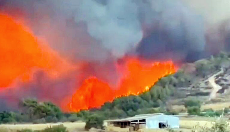 Εξακολουθεί να καίει τα πάντα η φωτιά στην Αλεξανδρούπολη