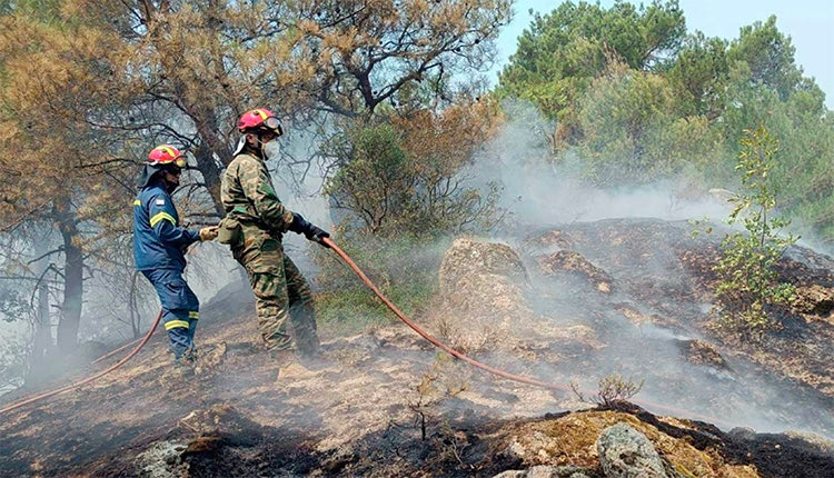 ΕΓΚΛΩΒΙΣΤΗΚΑΝ ΣΤΟ ΔΑΣΟΣ Δαδιά: Τουλάχιστον 26 οι νεκροί μετανάστες