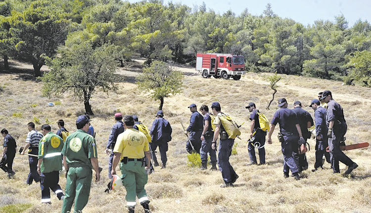 Τι κάνουν με τους δασικούς;