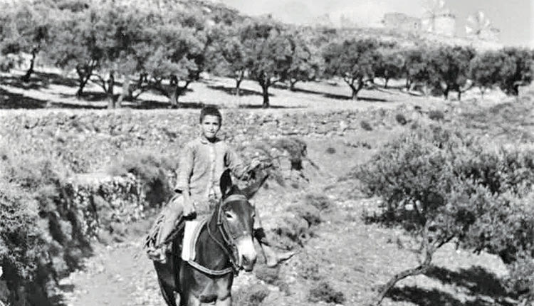 ΦΩΤΟΗΜΕΡΑΣ: Στην Κατοχή το 1942. Ένας νεαρός με το γαϊδουράκι του έξω από το χωριό Ξυδάς (Λύττος). Φωτογραφία Karl Ottahal.