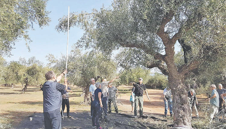 Νέα παράταση στο πρόγραμμα καθόδου 500 ανέργων για το λιομάζωμα στο Ηράκλειο