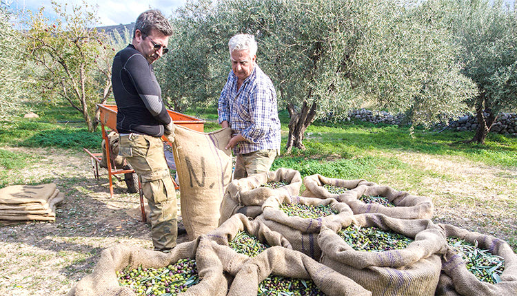 Πιο επιτακτική από ποτέ γίνεται η ανάγκη για τη δημιουργία νέων αγροτικών συλλόγων