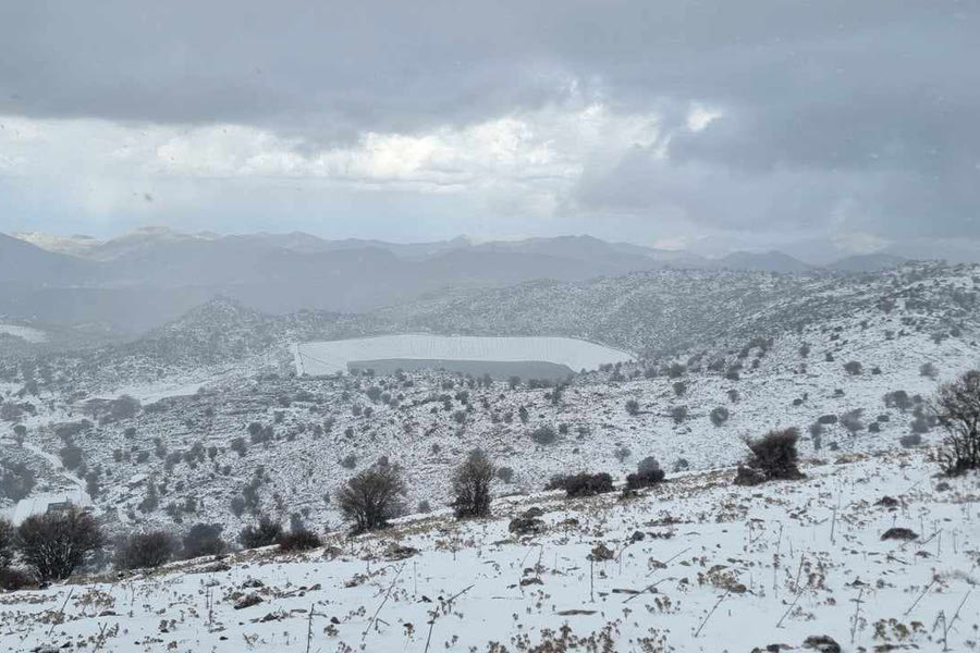 Το υπέροχο λευκό τοπίο του Ψηλορείτη!