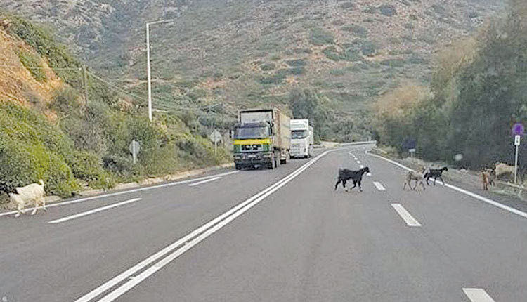 Κακά τα ψέματα, ο ΒΟΑΚ είναι… κατσικόδρομος κι όχι σύγχρονος αυτοκινητόδρομος.